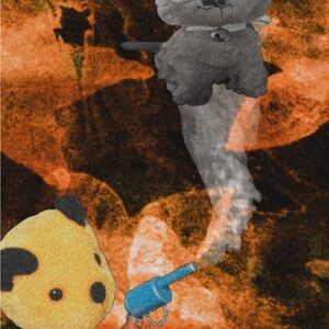 Meet your Posher, Francisco